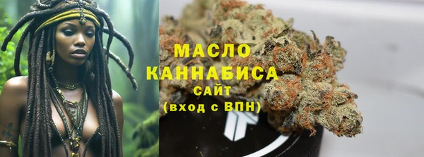индика Инсар