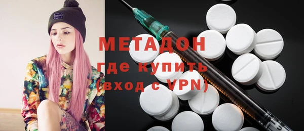 индика Инсар