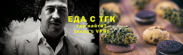 индика Инсар