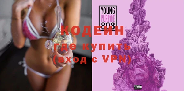 индика Инсар