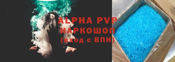 индика Инсар