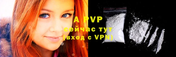 Альфа ПВП Каменногорск