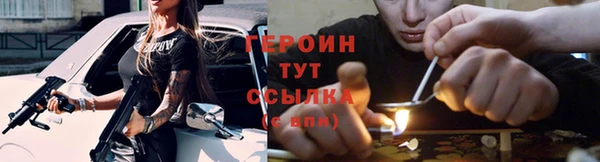 индика Инсар