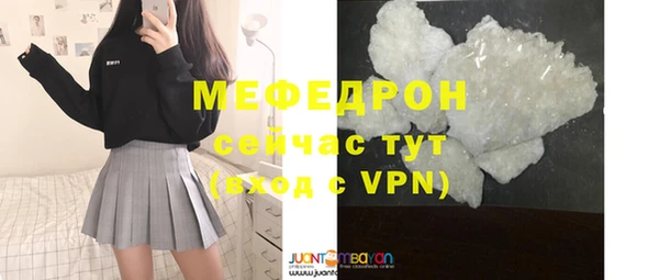 индика Инсар