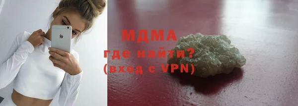 индика Инсар