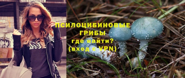 индика Инсар