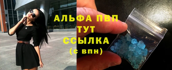 эйфоретик Инта