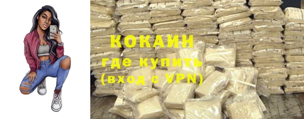 индика Инсар
