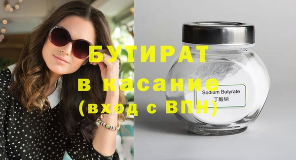 индика Инсар