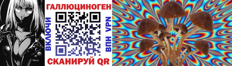 Псилоцибиновые грибы MAGIC MUSHROOMS  купить  сайты  Мелеуз 